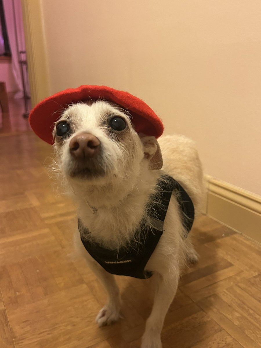 Chevy Sliwa will cure you