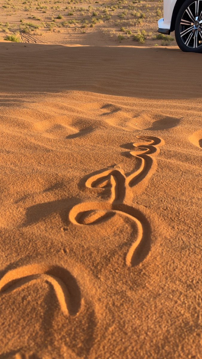 box_992's tweet photo. سبحان الله وبحمده سبحان الله العظيم https://t.co/u0yOox5o1J
