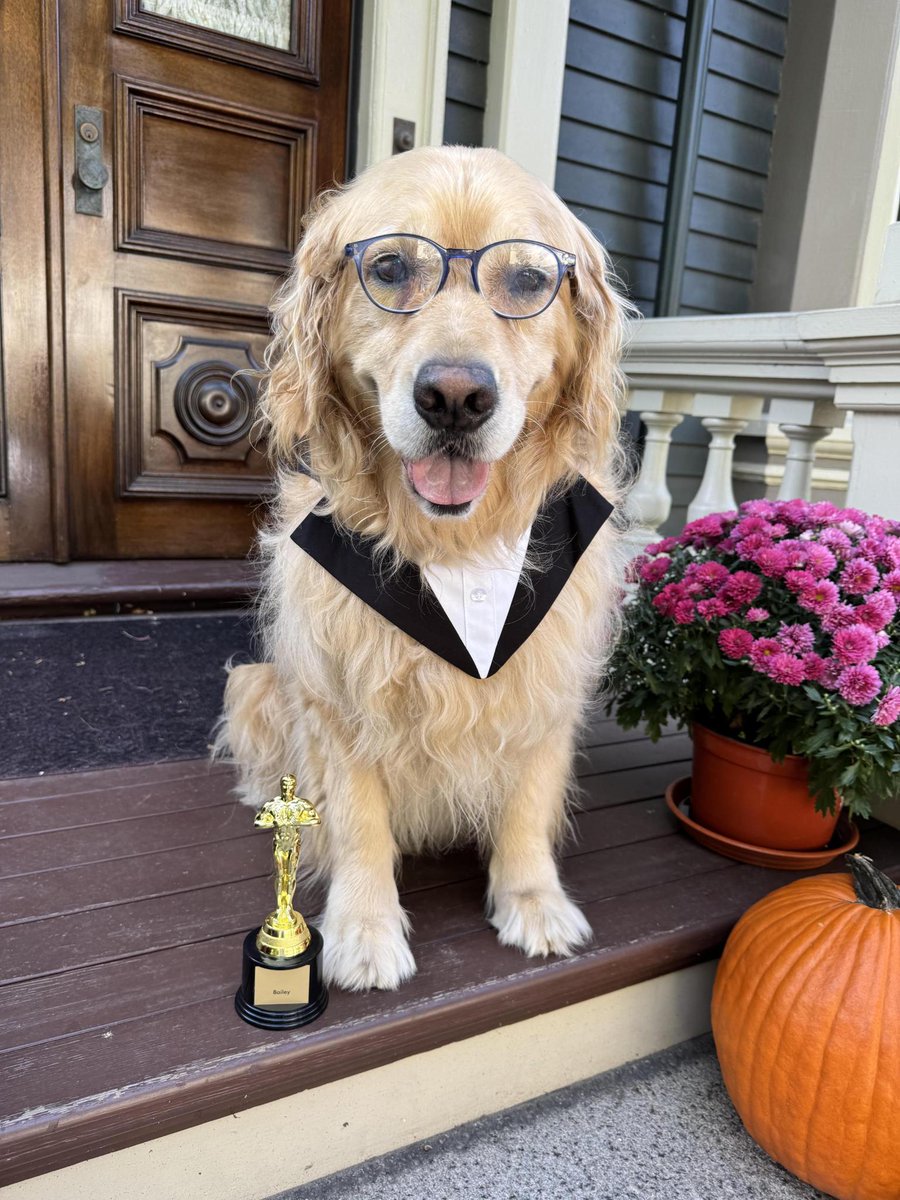 Bailey is ready for Halloween! This year, he’s dressed as the person who doesn't cave to big media corporations or the president: <a href="/StephenAtHome/">Stephen Colbert</a>
