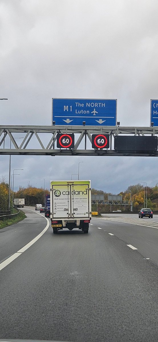 Truth Talking Maverick tweet media