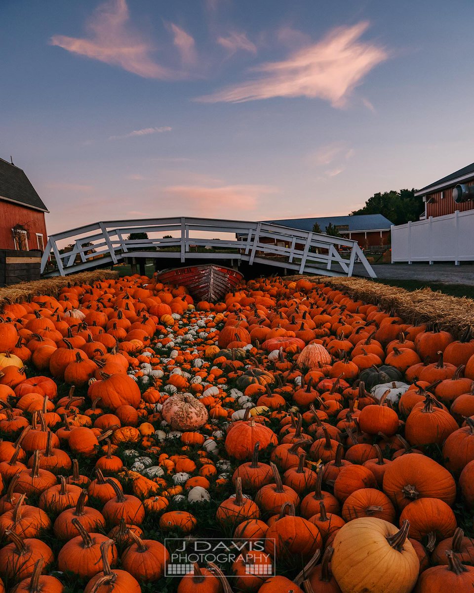 Finger Lakes Travel tweet media