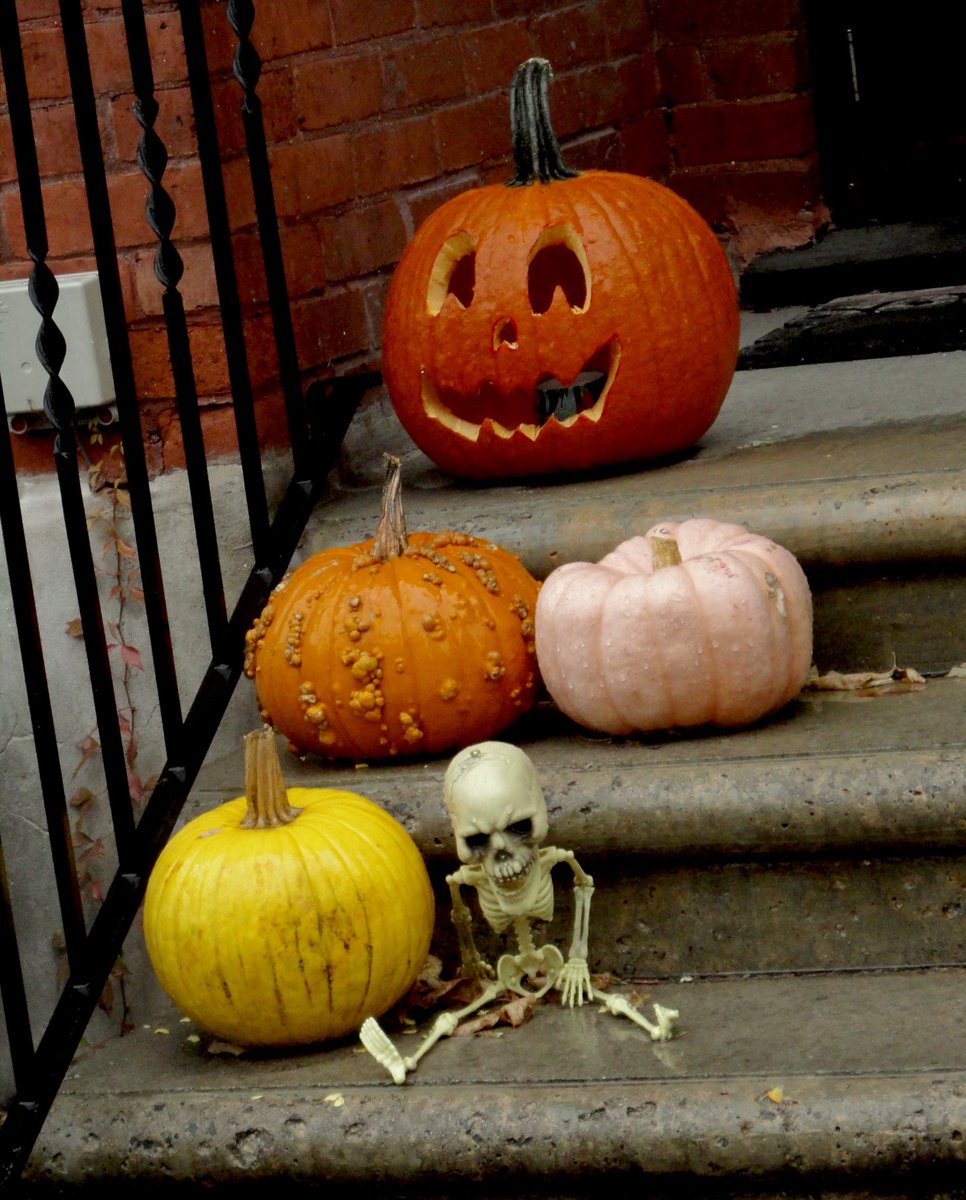 How about another chocolate? #Halloween