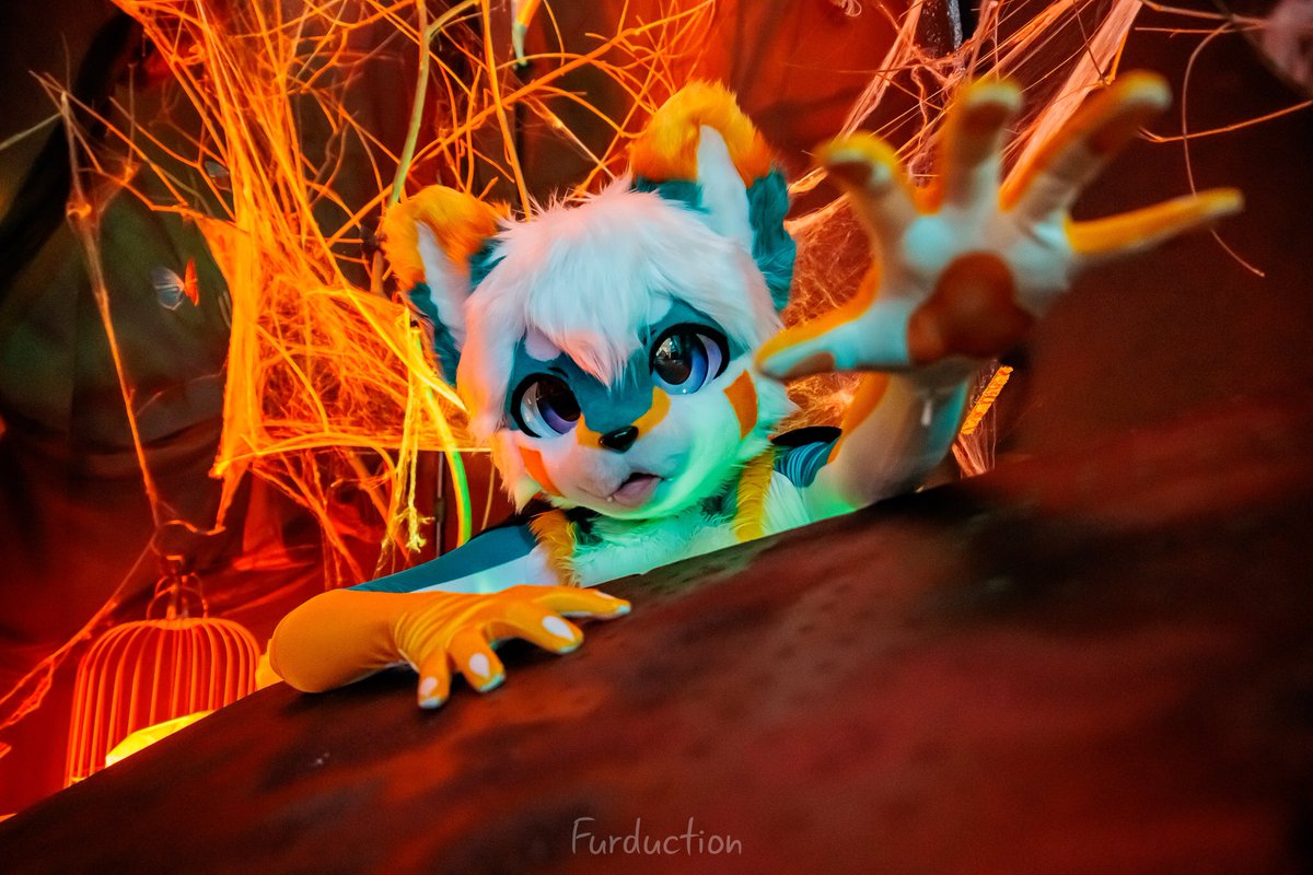 Felix|Chestnafox 🔜 🇹🇭 Thaitails 2026 tweet media