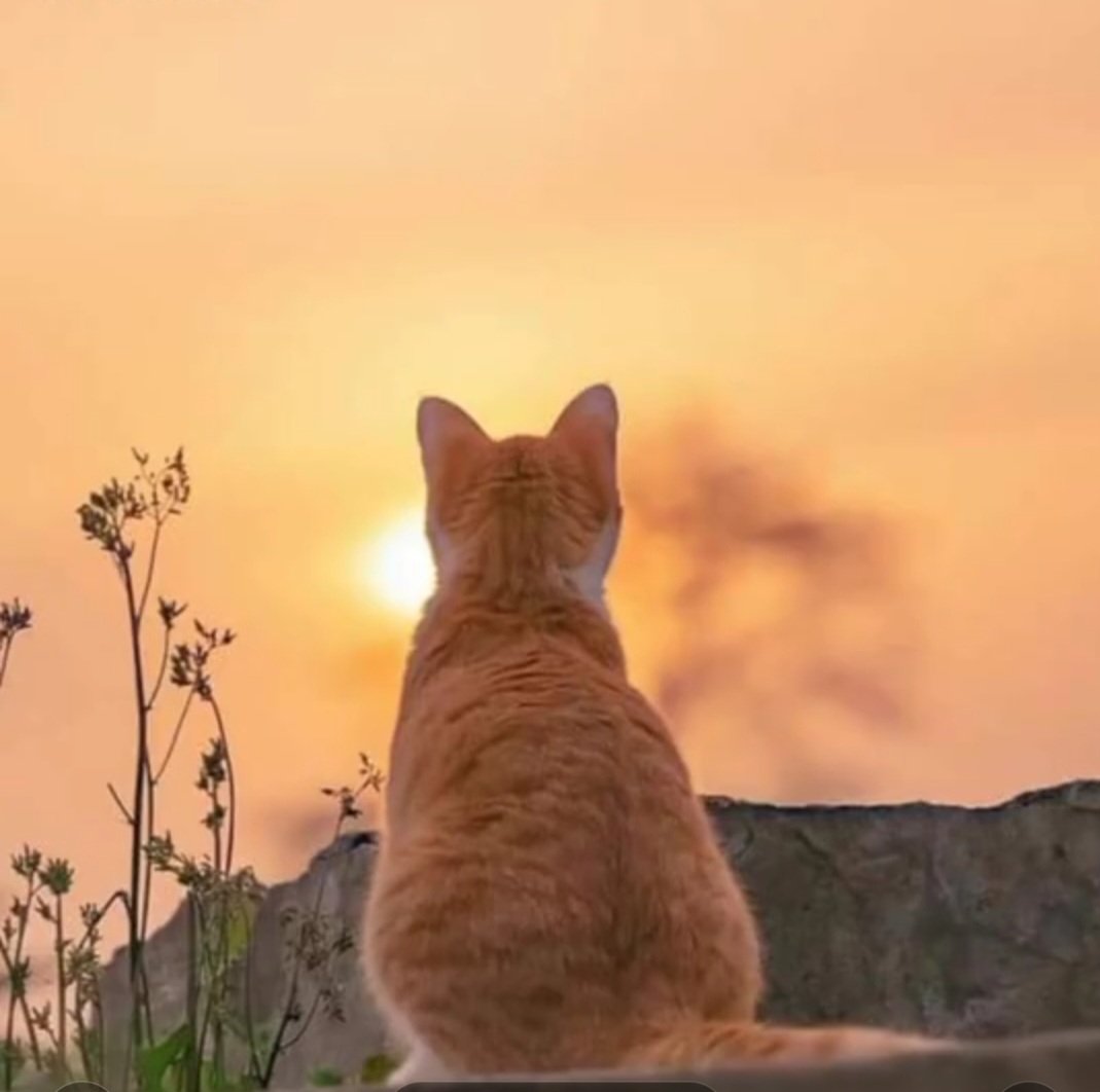 Waktu mengusangkan peristiwa
Menjadi serpihan yang lambat-laun samar
Namun kamu masih di sini
—hatiku tetap bergetar saat mengingat namamu

Aku berdiri di puncak rindu
——