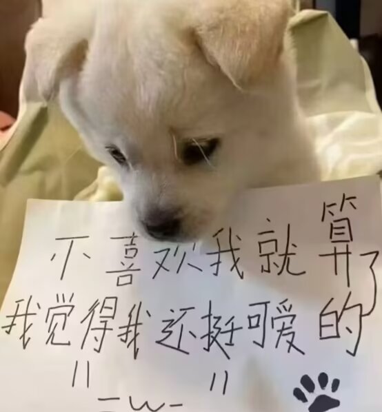 一块豆腐鸭 tweet media