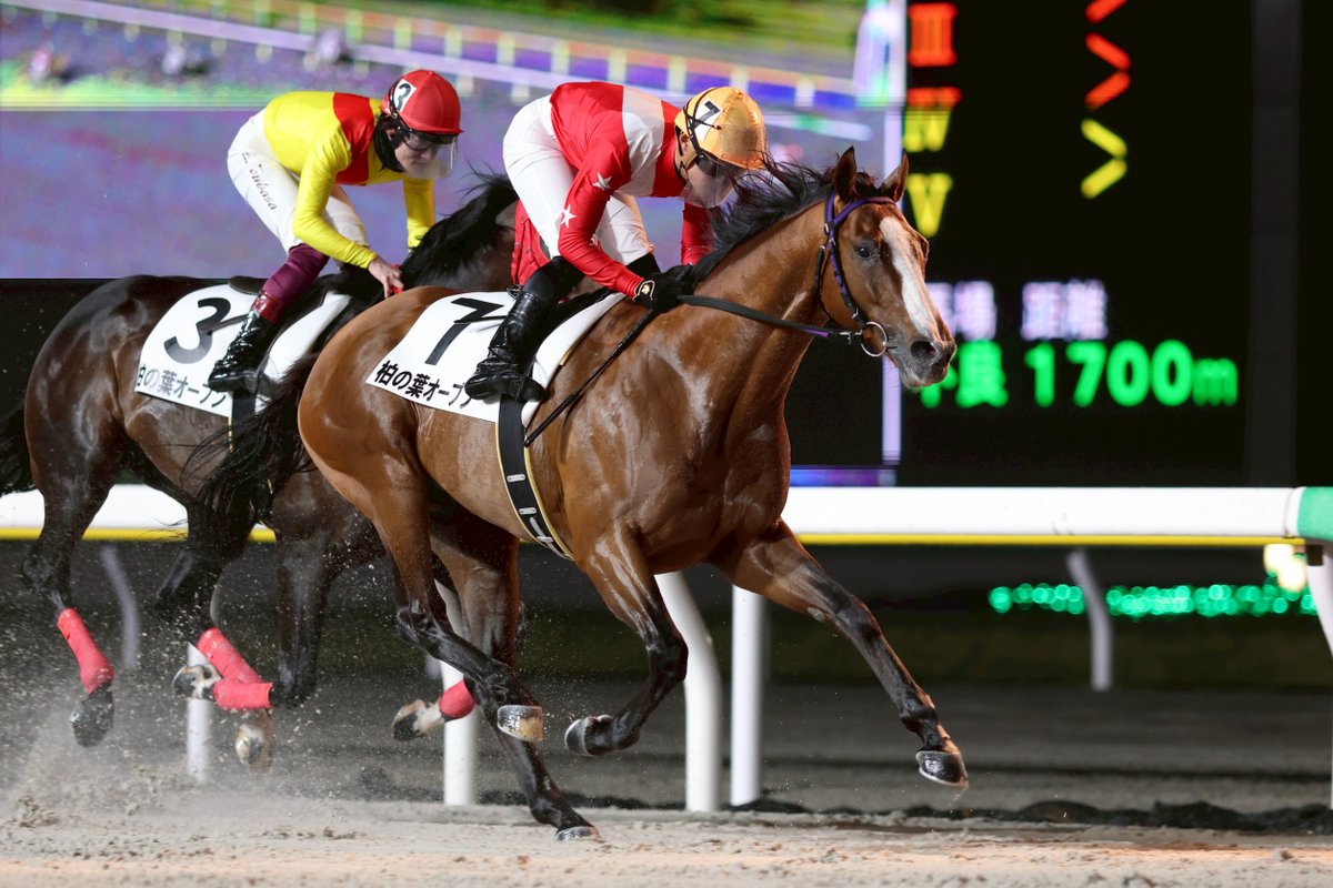 すみれ☆ 花芽すみれ 6周年記念2024