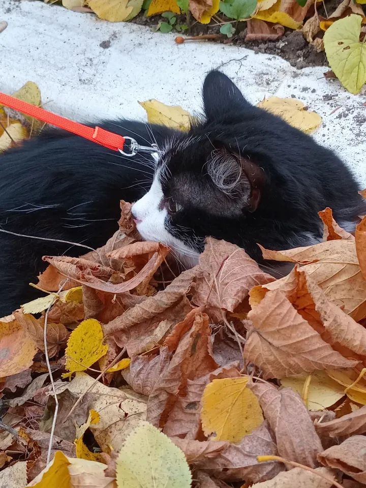 VBuhaiova's tweet image. instagram.com/p/DQeJX7-DbnH/…