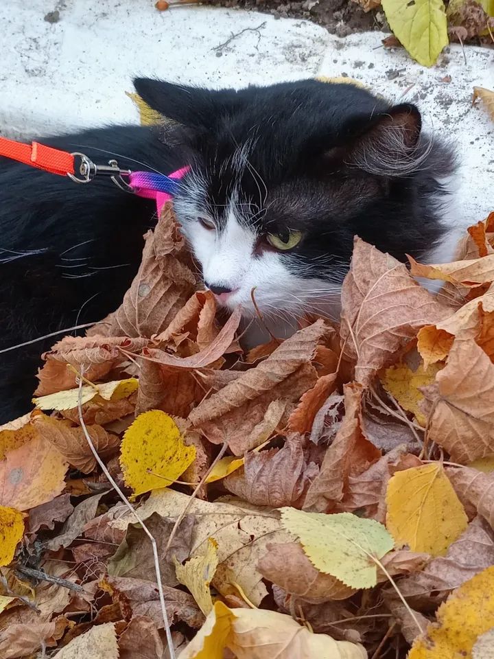 VBuhaiova's tweet image. instagram.com/p/DQeJX7-DbnH/…