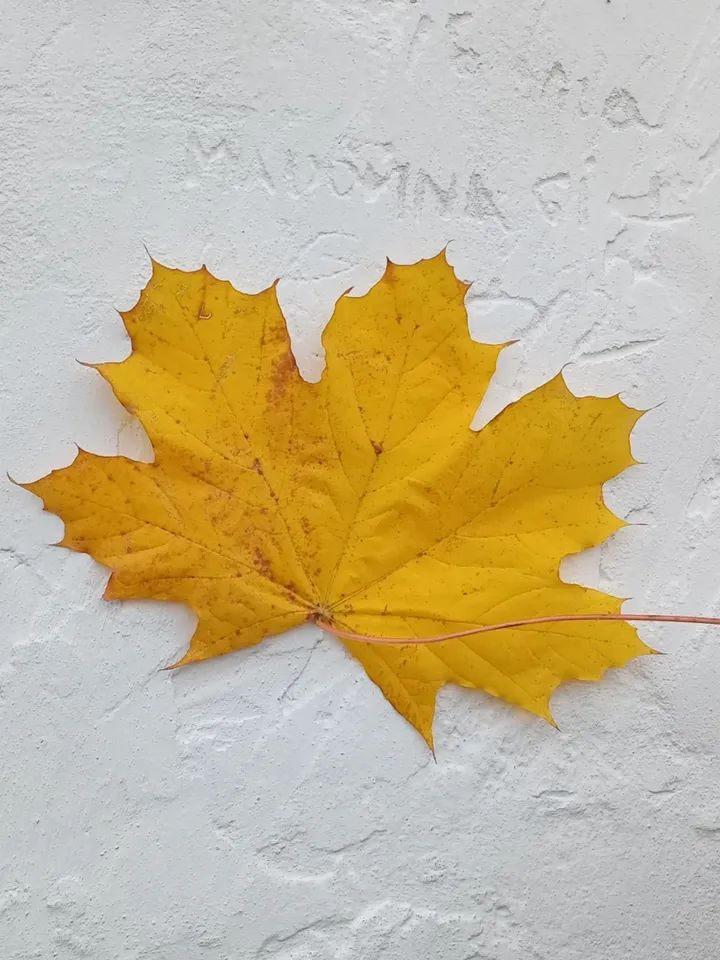 VBuhaiova's tweet image. instagram.com/p/DQeJX7-DbnH/…