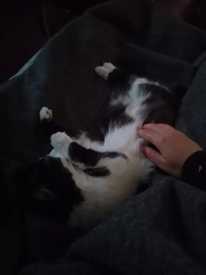 VBuhaiova's tweet image. instagram.com/p/DQeJX7-DbnH/…