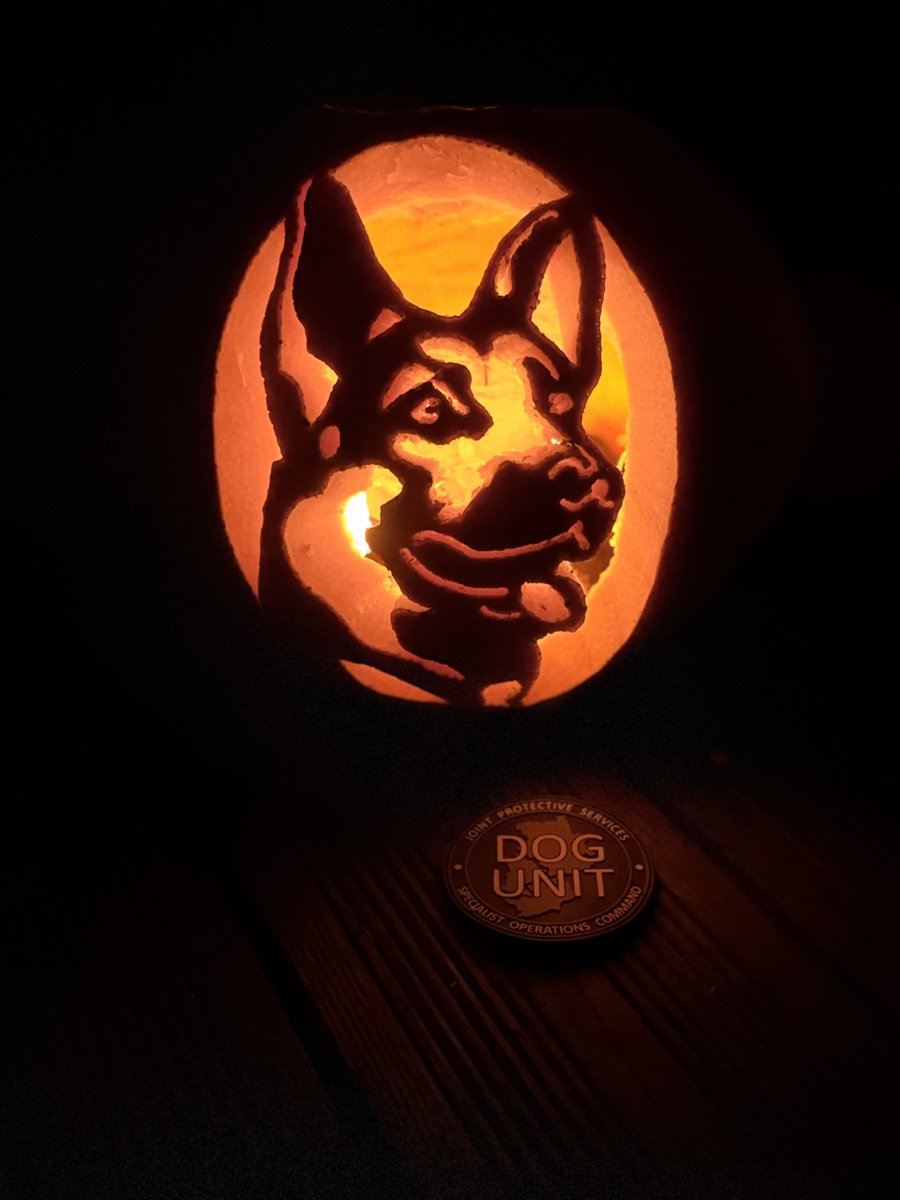 BCH Police Dogs tweet media