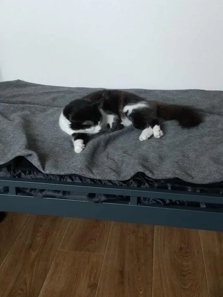 VBuhaiova's tweet image. instagram.com/p/DQeJX7-DbnH/…