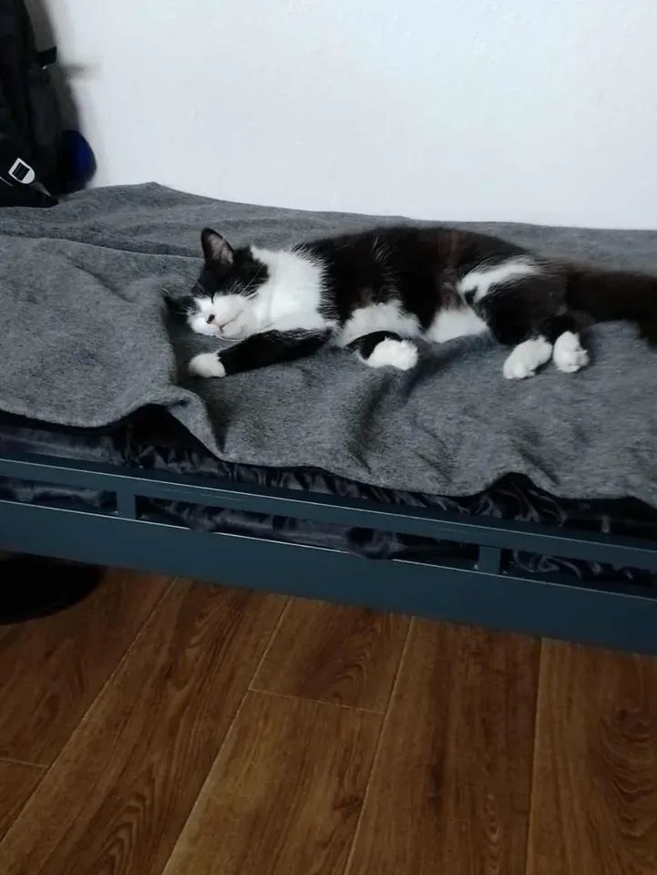 VBuhaiova's tweet image. instagram.com/p/DQeJX7-DbnH/…