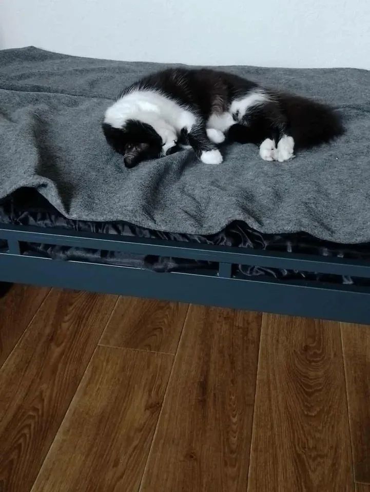 VBuhaiova's tweet image. instagram.com/p/DQeJX7-DbnH/…