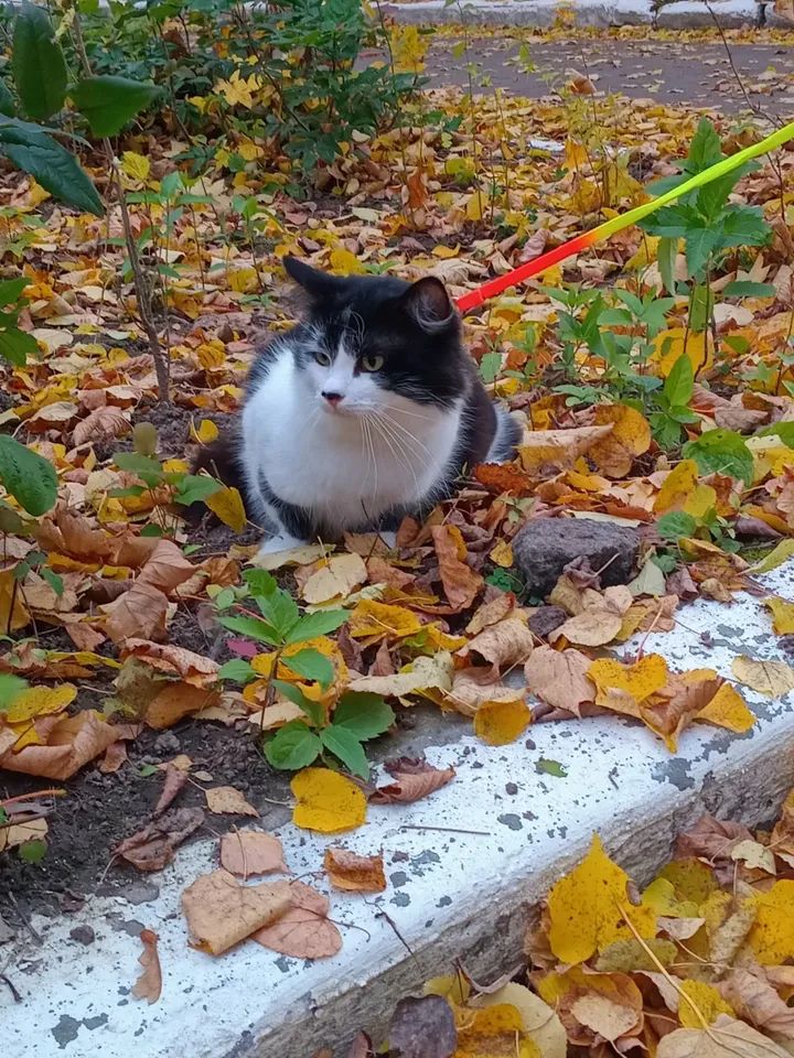 VBuhaiova's tweet image. instagram.com/p/DQeJX7-DbnH/…