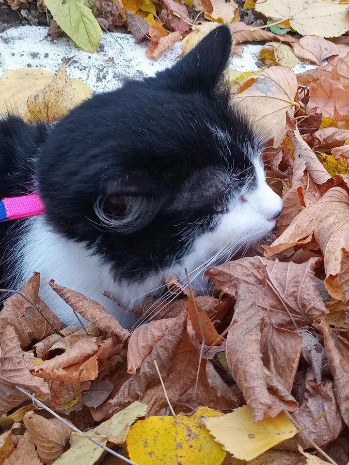 VBuhaiova's tweet image. instagram.com/p/DQeJX7-DbnH/…