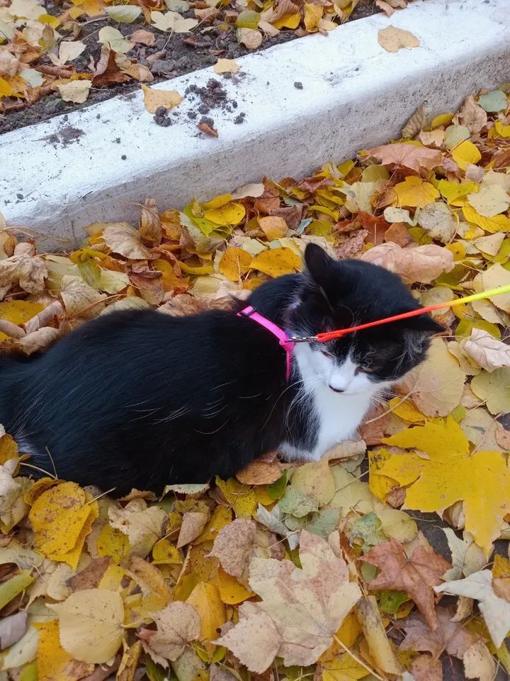 VBuhaiova's tweet image. instagram.com/p/DQeJX7-DbnH/…