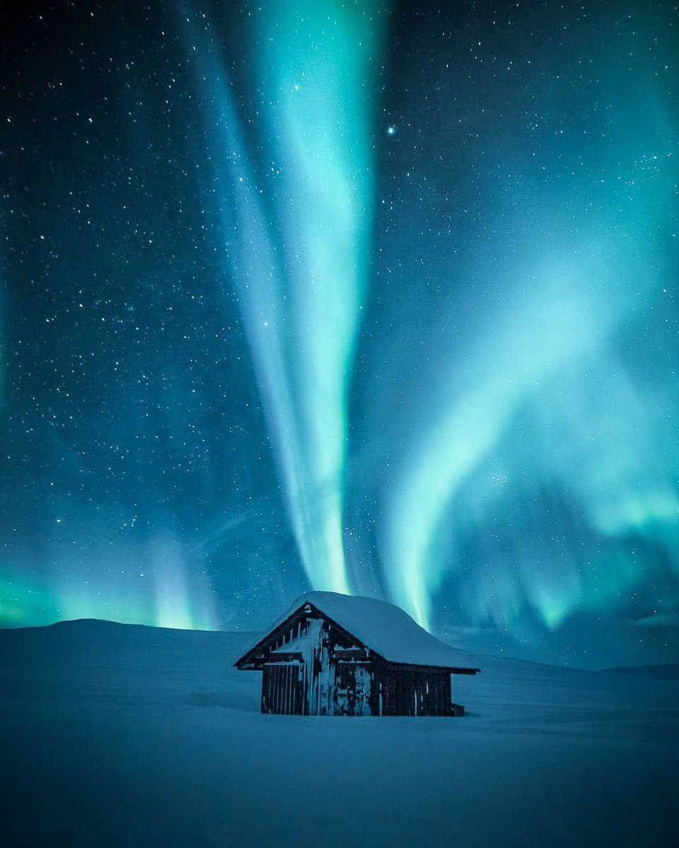 earthcurated's tweet image. Nature&apos;s light show in Finland ✨