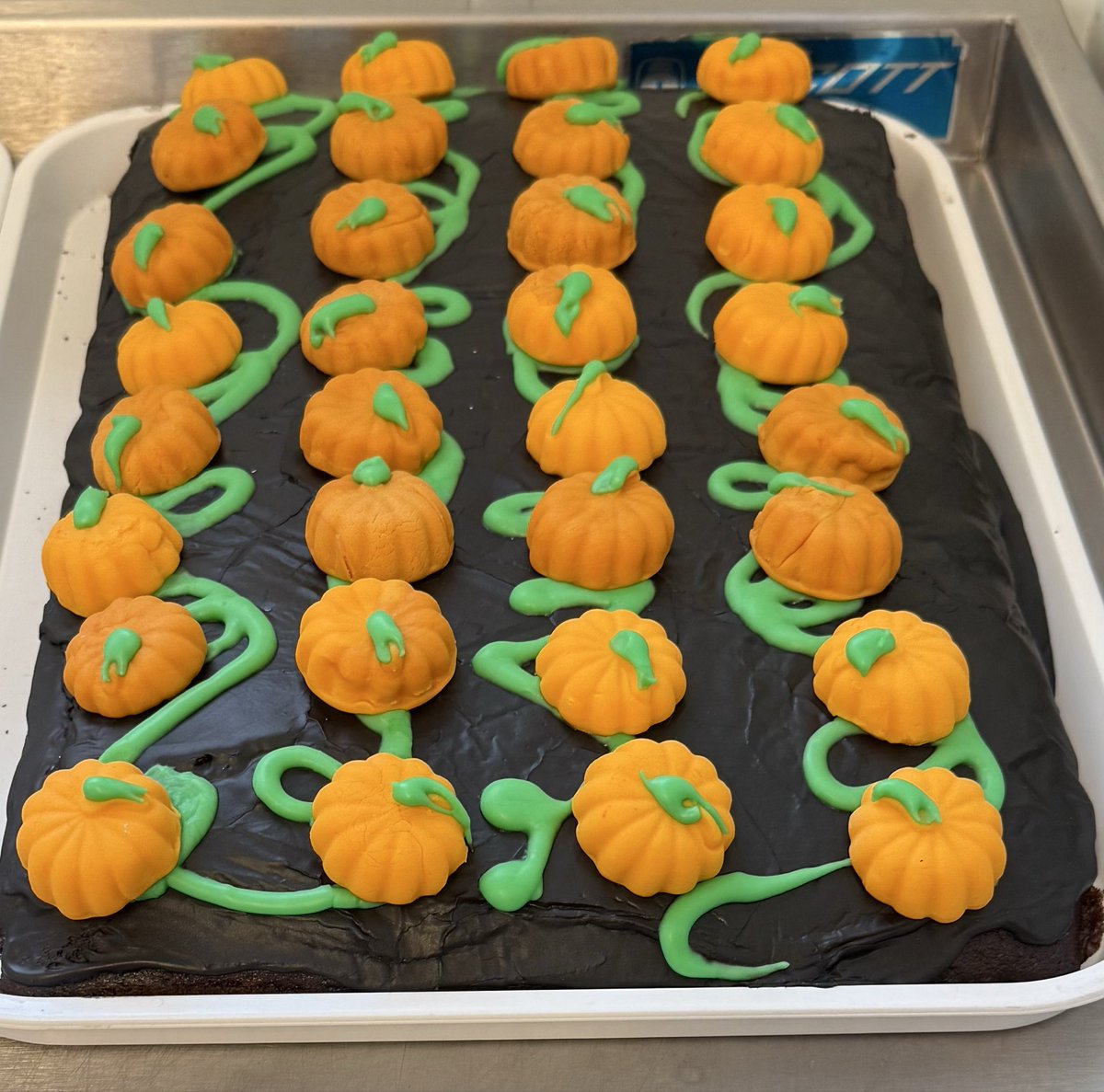 Look at these delicious cakes that our wonderful canteen staff made for us! 🕷️👻🎃