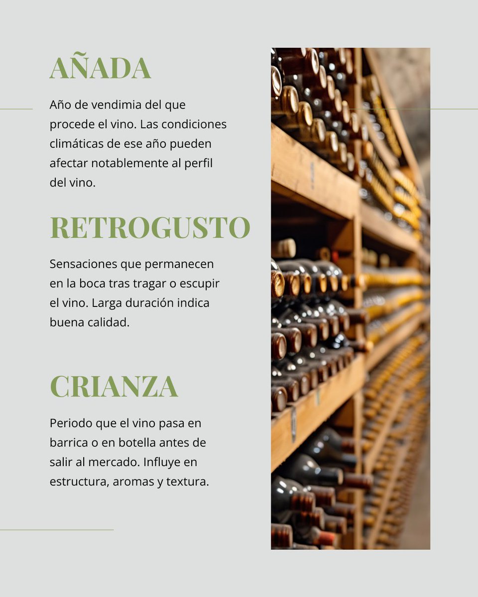 IGP Castelló 🍷 tweet media