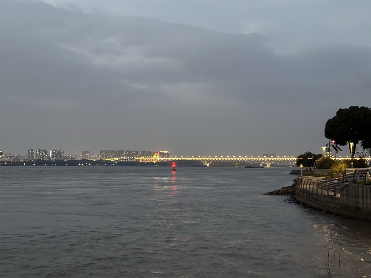 普通猫 (@ykq315) on Twitter photo 