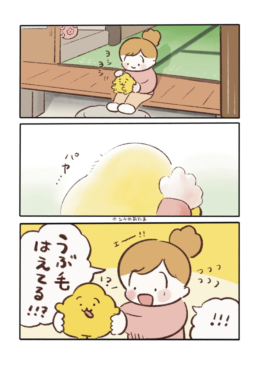 熊五郎 (@davideraserhead) / Posts / X