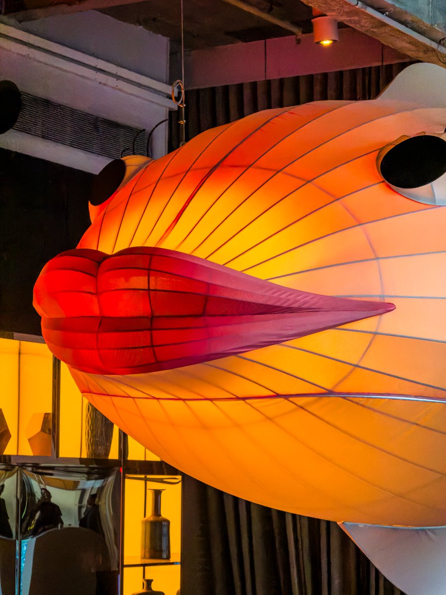 javanng's tweet image. Catch the magic at Fish Pool at The NCO Club – where the giant fish lantern light up the night &amp;amp; the mermaid show at 7:15pm steals the spotlight. 🐠✨ Dive into an unforgettable evening. 💫

#FishPoolSG #NCOClub #SingaporeNights #marriottbonvoy #singapore #sgbar @JWMarriottSG