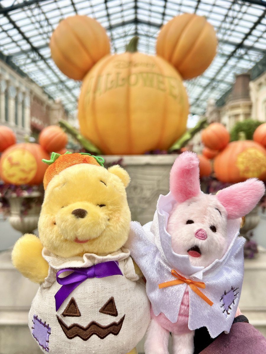 ピグレット様　オーダー分 ピグレット🐷 (@pigletniaitai) / Posts / X