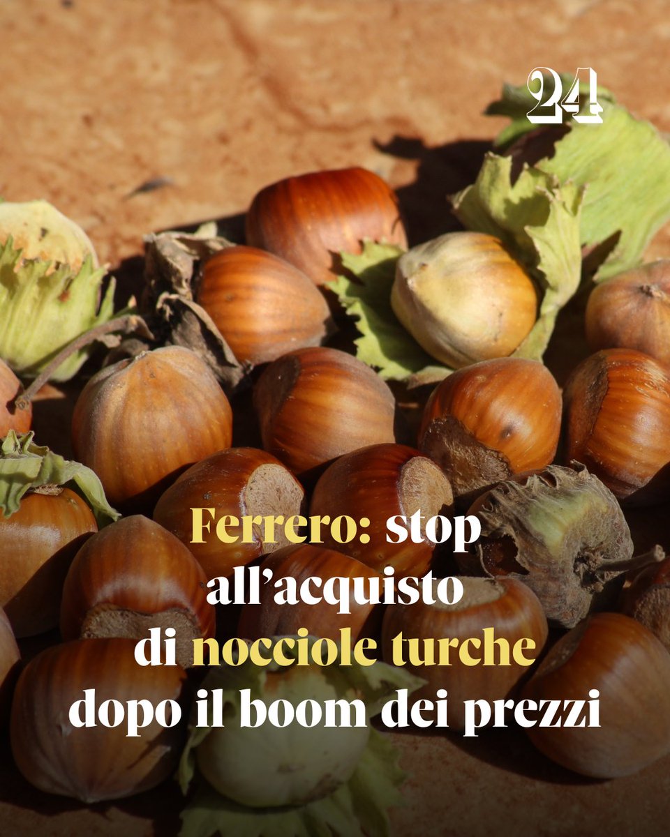 sole24ore's tweet image. Per approfondire, leggi l'articolo: ilsole24ore.com/art/ferrero-st…

#Ferrero #nocciole #Turchia