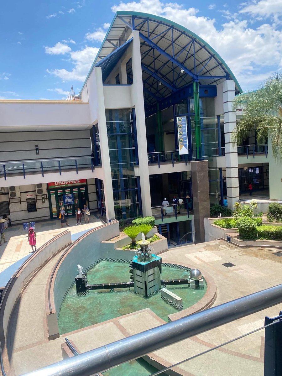Futurist🇿🇼 tweet media