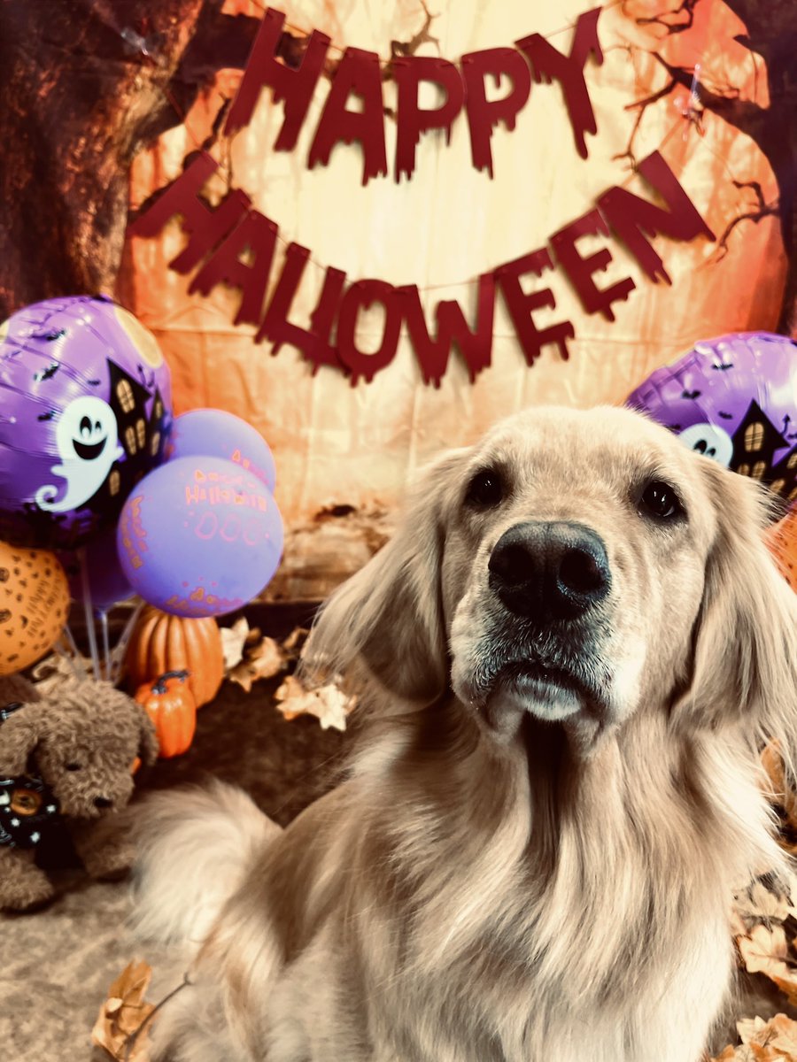 satominページです。 satomin🕊️ (@satomin_0603) / Posts / X