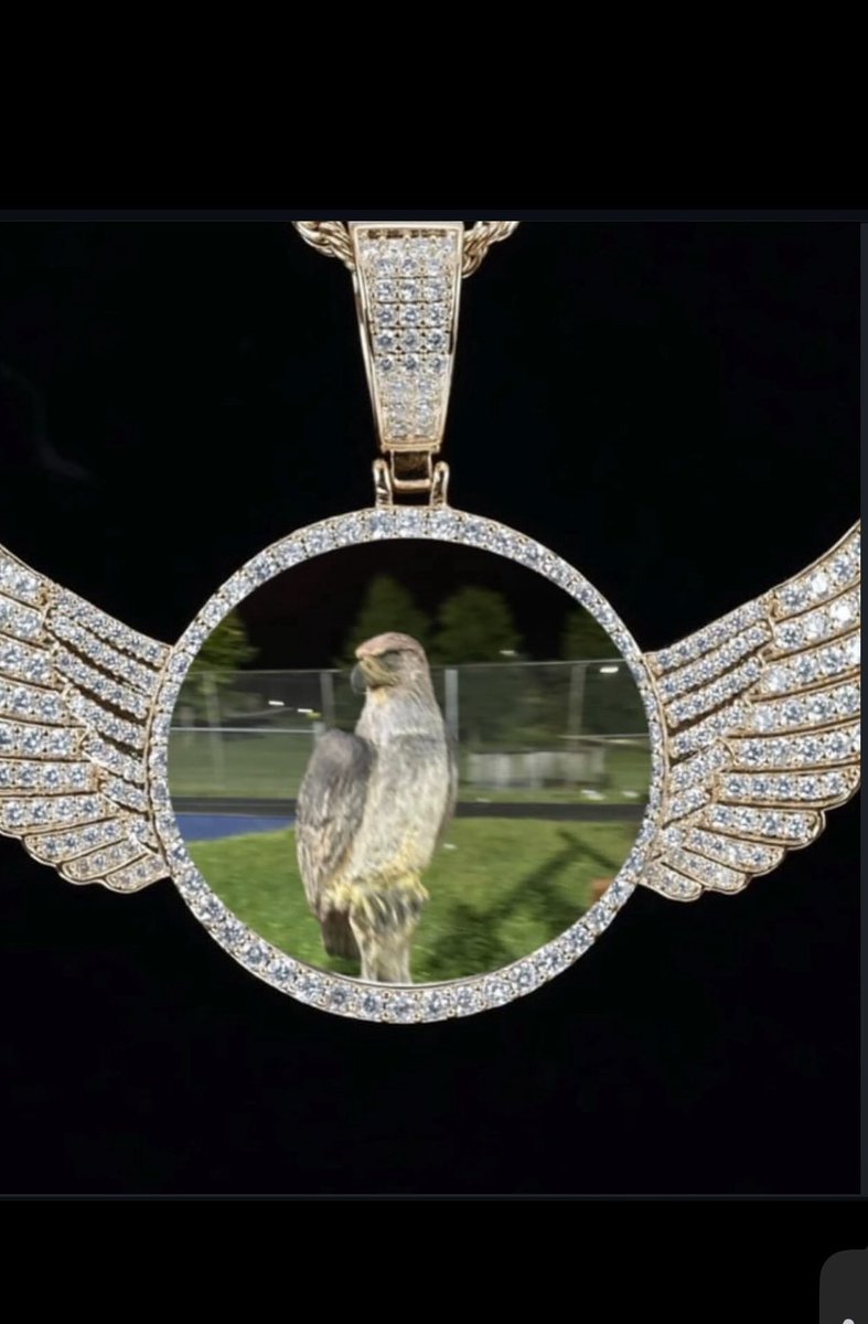 Linganore Tribe tweet media