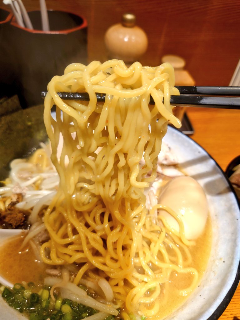 ポヨっ様 Amazon | ホーザン(HOZAN) 精密ワイヤーカッター フラット