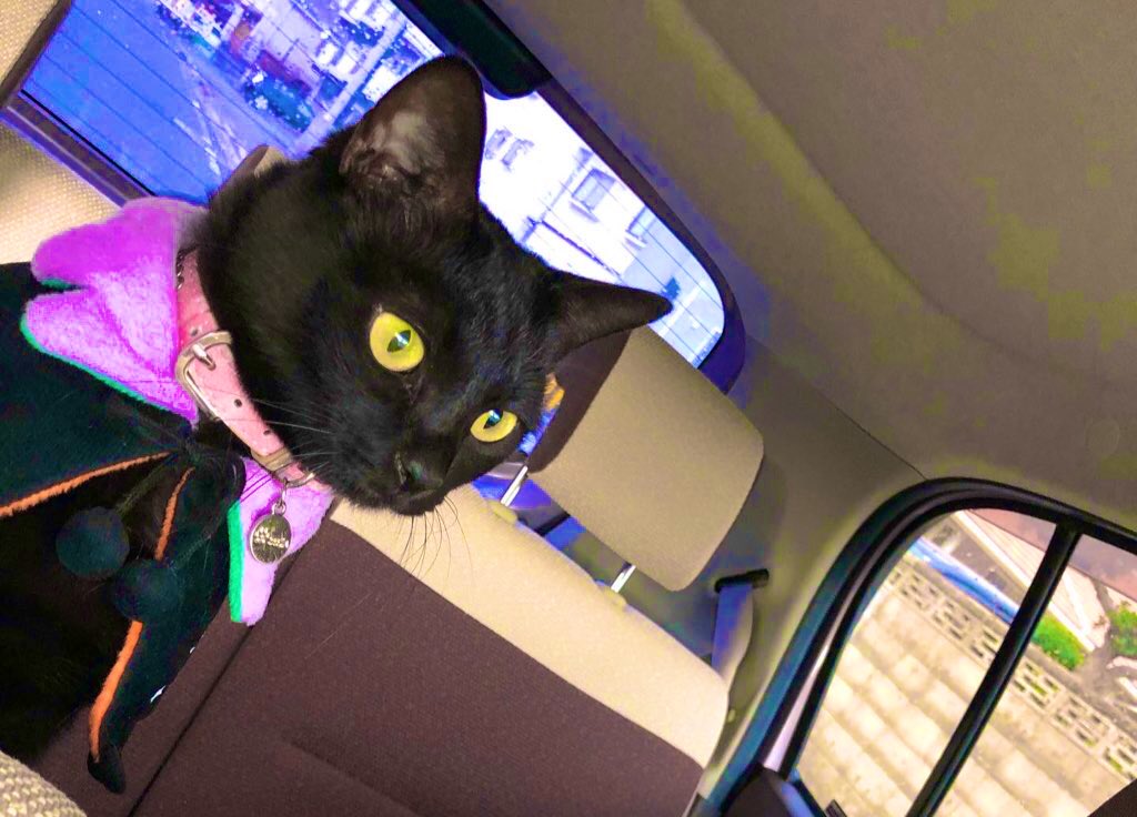 CBT122】9cm級 おきあがりこぼし(大) スベトラーナ 黒猫ちゃん CBT122