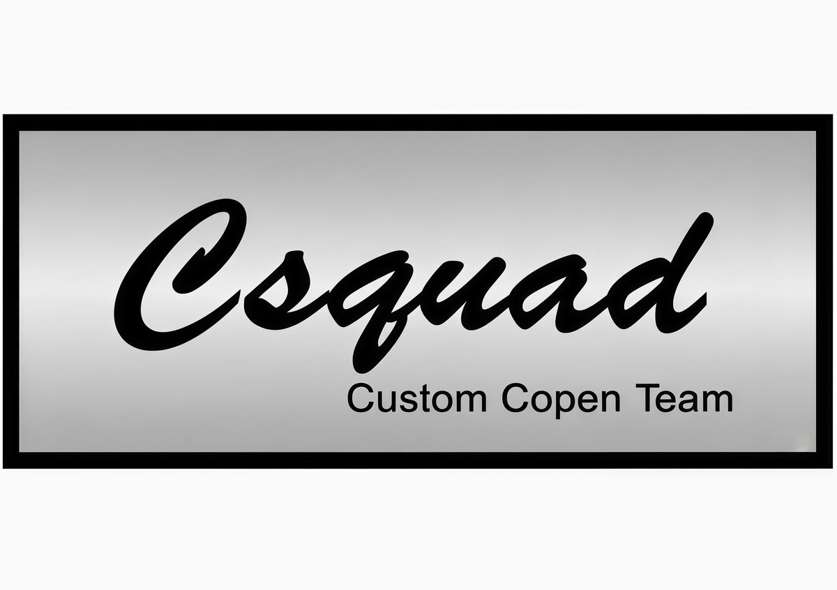 Err0rSh0's tweet image. #Csquad