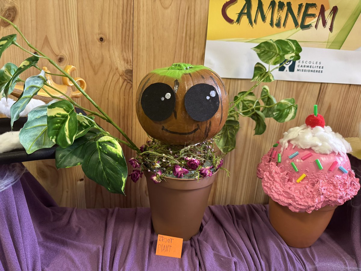 Las linternas talladas a partir de calabazas son una tradición anual de Halloweenque que tiene un origen celta. Luego se han ido costumizando y decorando. A veces pienso que se nos va de las manos…🎃Pero hay que reconocer que dan color y alegría sobre todo si se hacen en familia