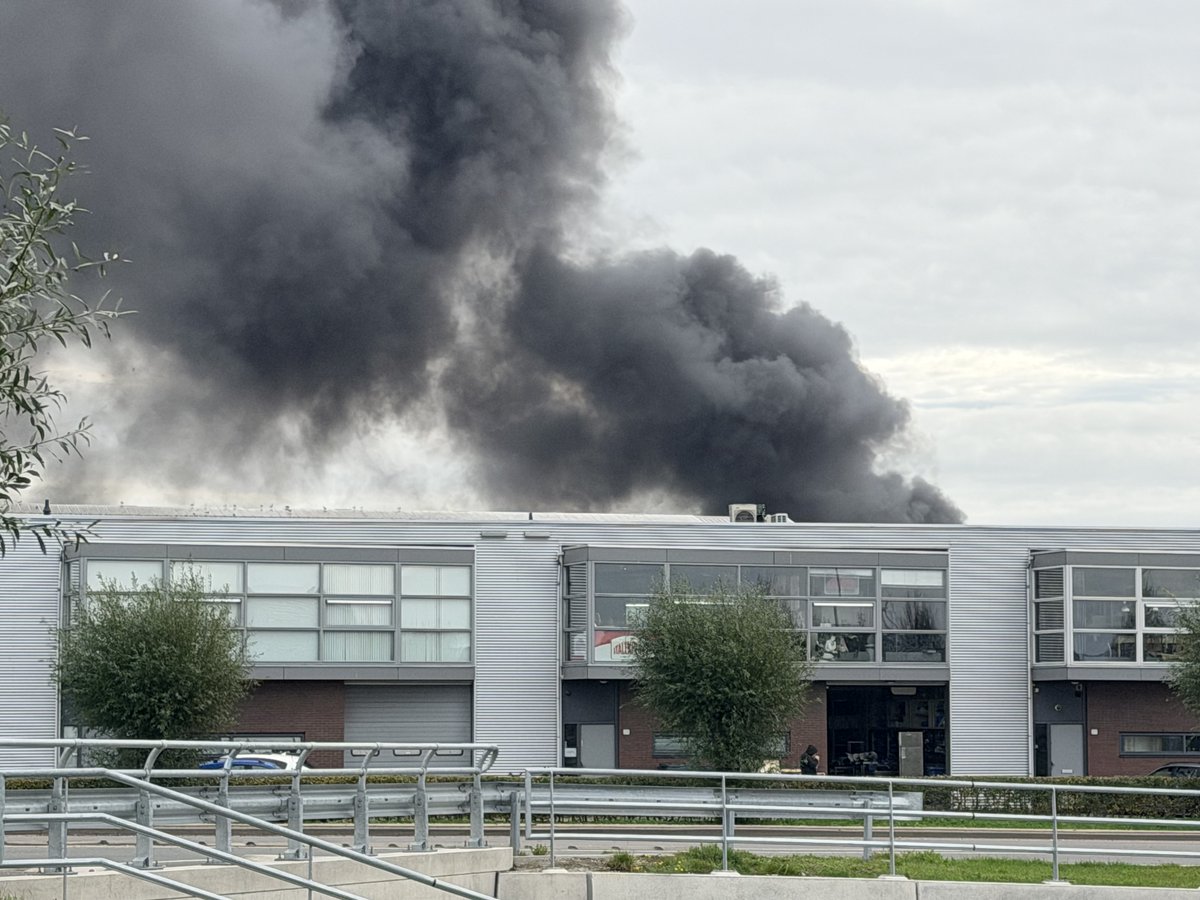 Gerbrand Oudenaarden tweet media