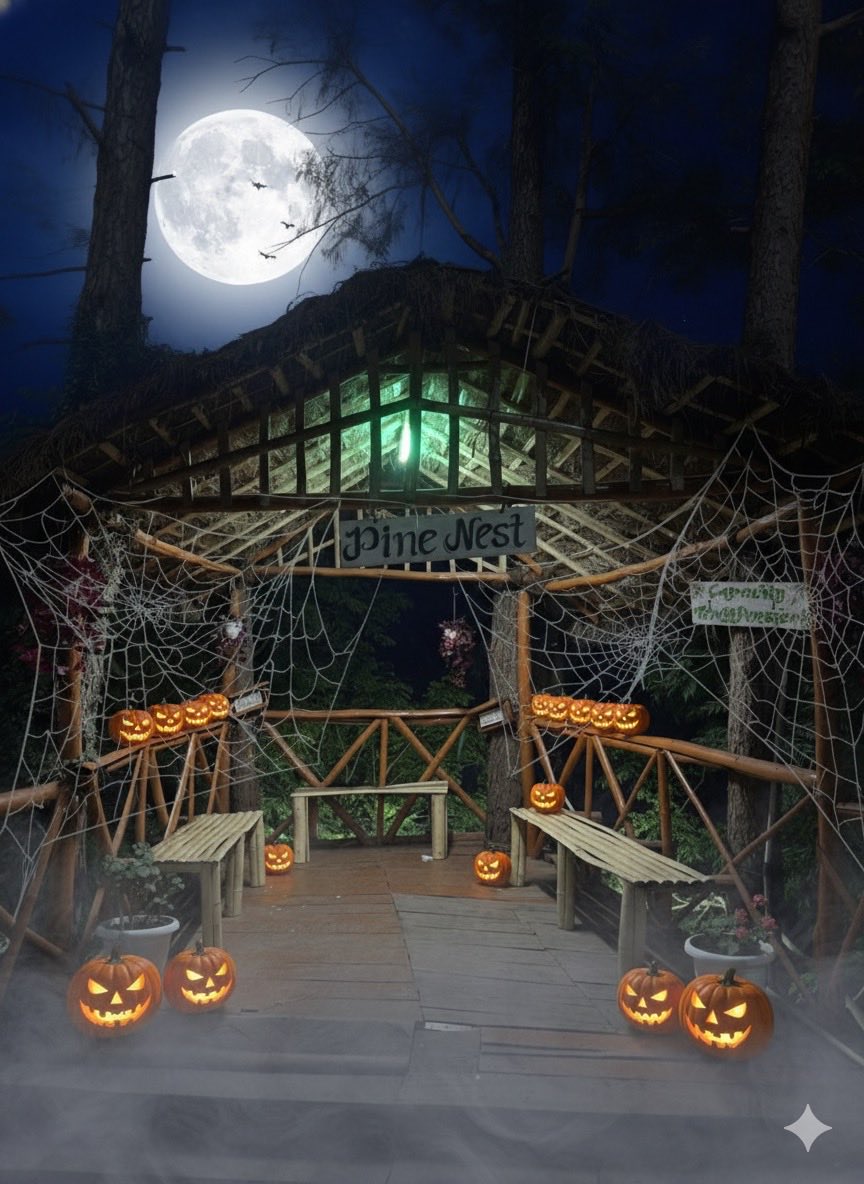 ShooliniUniv's tweet image. Tricks, treats, and a touch of spooky magic at Shoolini! 🎃✨

Glowing pumpkins, eerie vibes, and Halloween feels all around! 👻🕸️

Swipe to see the spooky side of Shoolini! 🦇💛

Tell us what’s your favourite thing about Halloween? 🎭

#hallowen #spookyvibes #shooliniuniversity