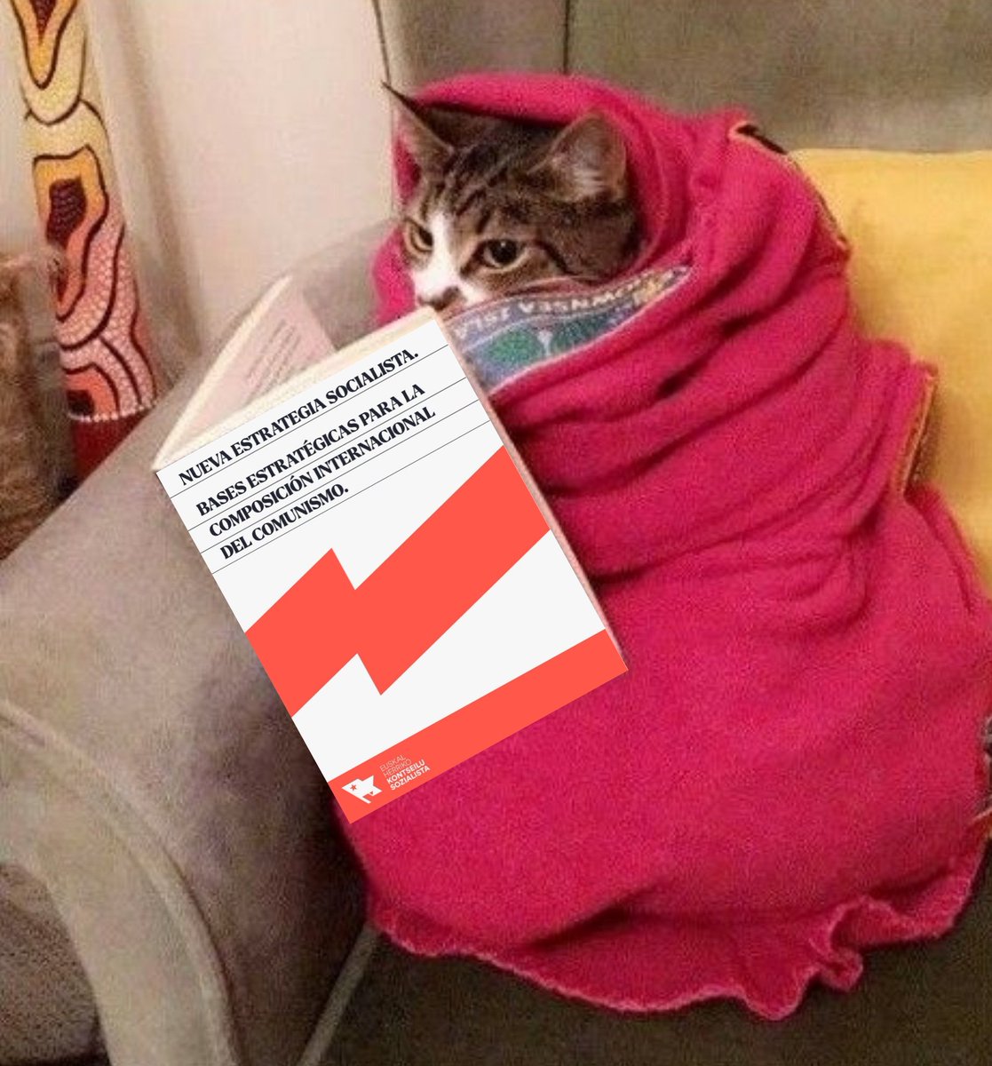 erni 🇵🇸 (día nublao) (@esoliiiis) on Twitter photo 