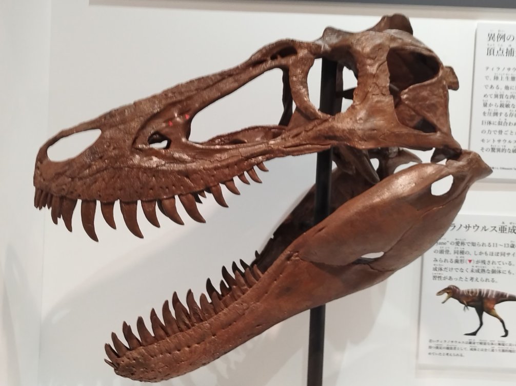 rara⭐︎様 リクエスト 5点 まとめ商品 くずめるちゃん on X