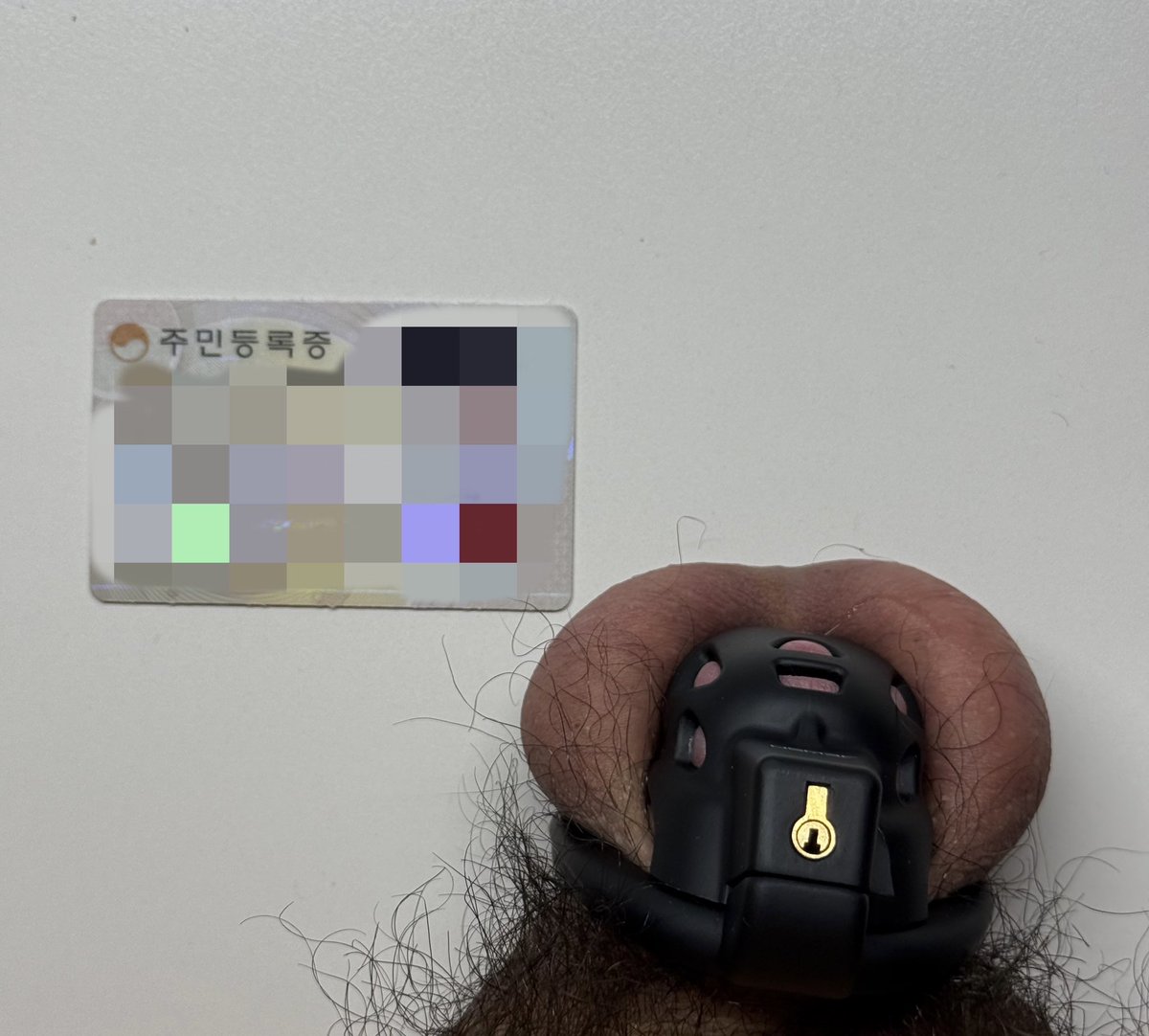 발정기인가봐요
팔로우+리트윗+하트 해주신
2분 노모 보내드릴게요...