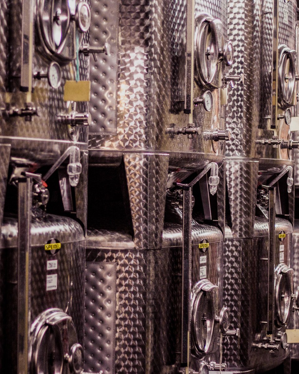 Da "blubbern" bzw gären unsere Weine langsam vor sich hin. Ein toller Jahrgang 2025. Ihr könnt euch jetzt schon auf die Weine freuen