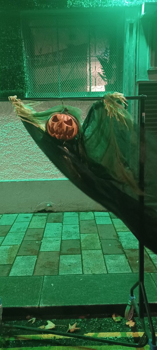 D L Z (@dlzfilms) on Twitter photo 