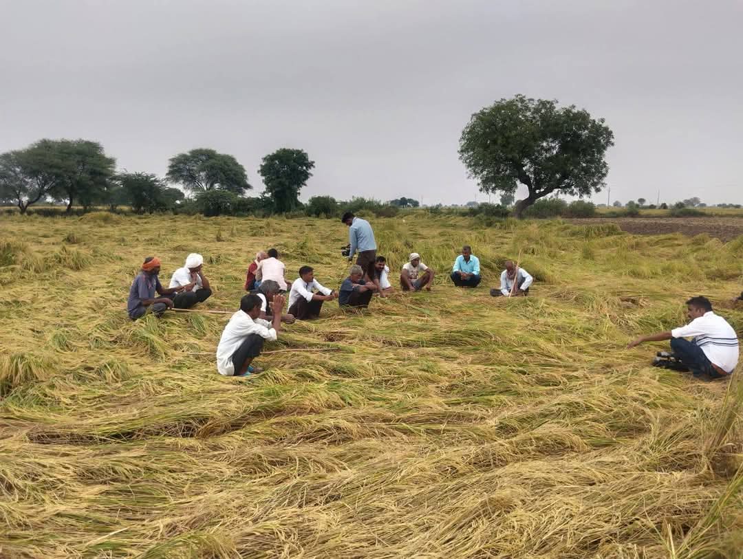 दोस्तो किसानों की इस दुर्दशा का जिम्मेदार कोन हैं।

किसी ने सच ही कहा हैं की गरीब और किसानों की कोई नहीं सुनता हैं।

भगवान इतना निर्दयी केसे हो सकता हैं क्या बिगाड़ा होगा इन किसानों ने जो अंतिम समय में बारिश कर के पकी पकाई फसल बिगाड़ दी।