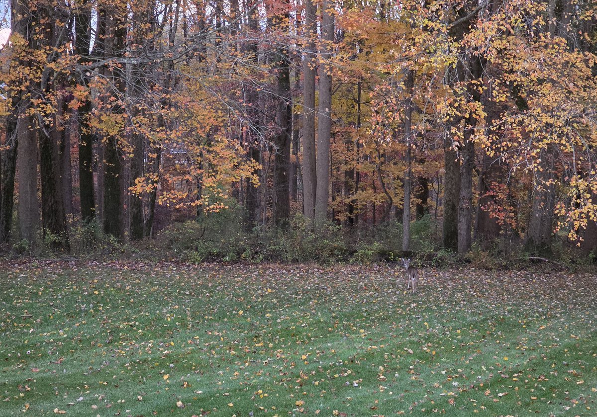 The Inner Circle Trader tweet media