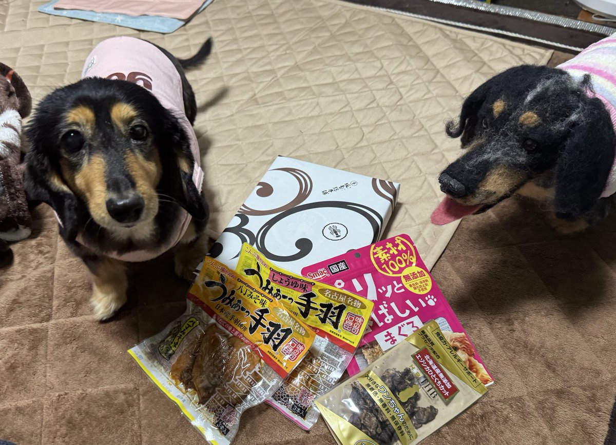 ずっと一緒 (@Sl8pDk8zP2xC0pT) / Posts / X