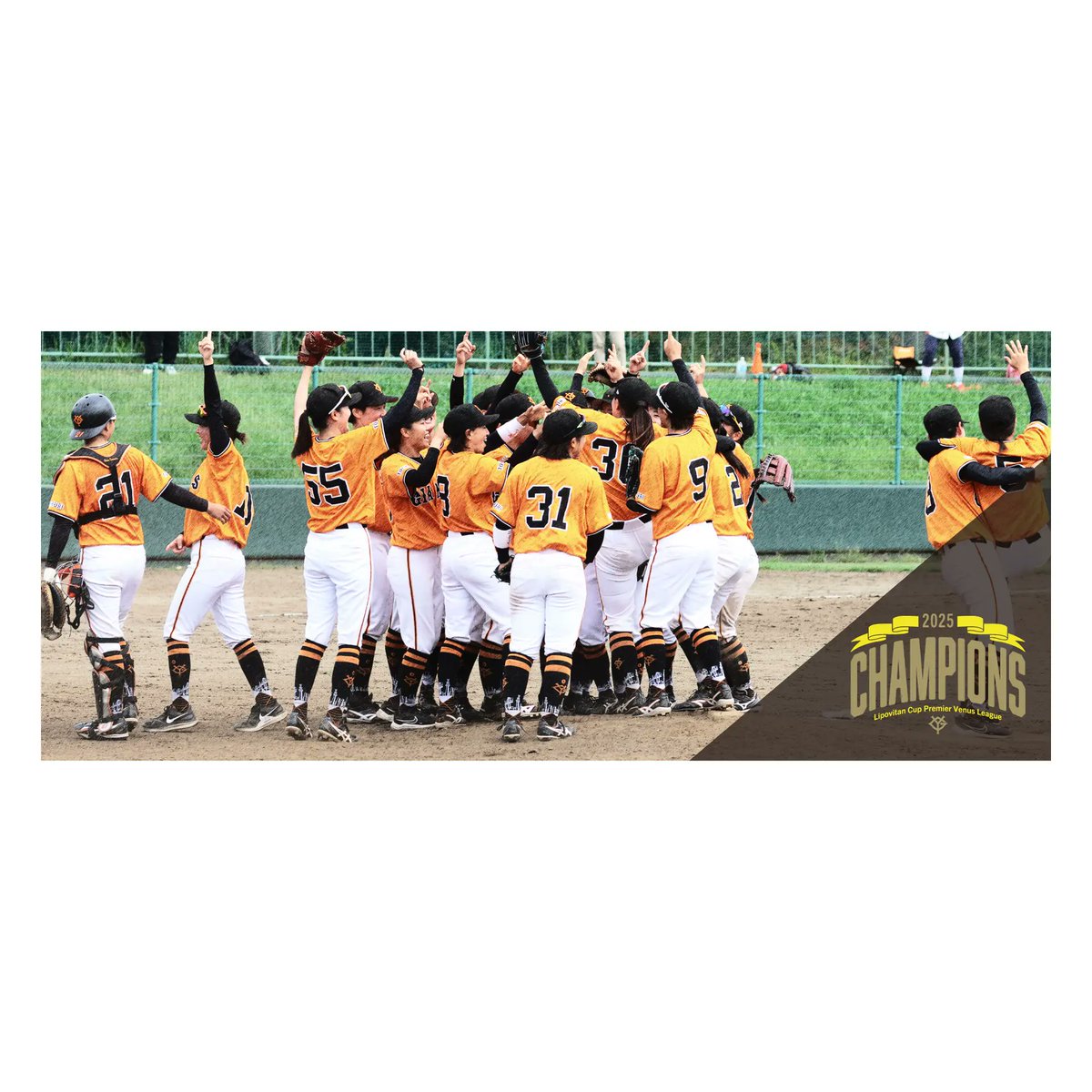 GIANTS 選手集合写真 　　萬年筆のプラチナ GIANTS 選手集合写真 萬年筆のプラチナ PEN⭐️STARS