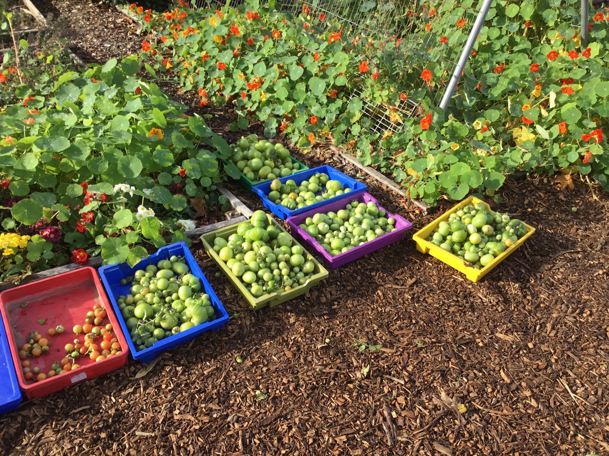 St Olave's Prep School tweet media