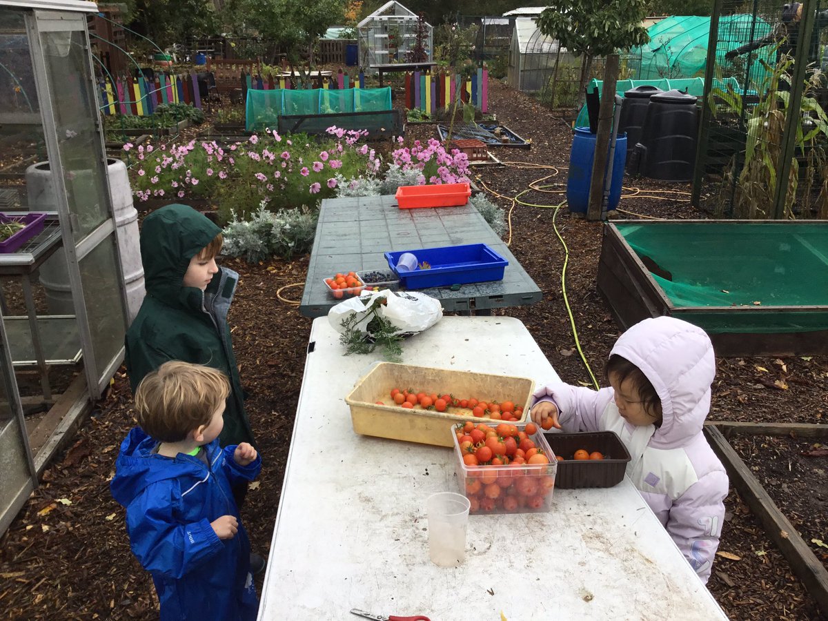 St Olave's Prep School tweet media