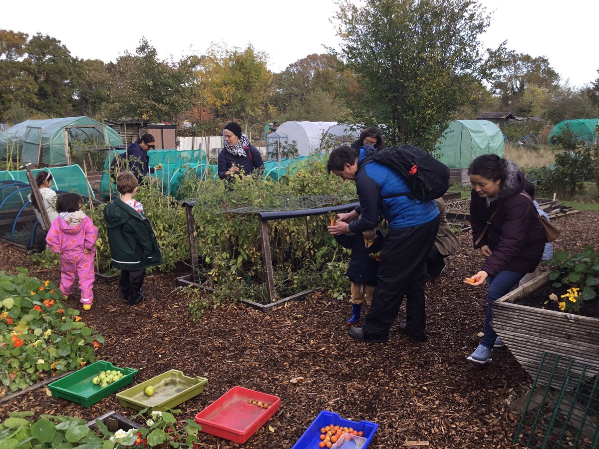 St Olave's Prep School tweet media